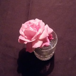 Ένας Κρυφός Κήπος στον Φωταγωγό. Νέα έκθεση φωτογραφίας.