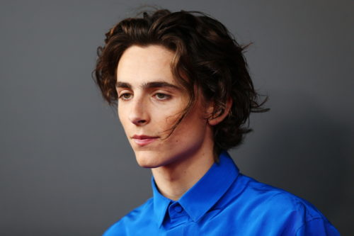 Ο Timothée Chalamet θα υποδυθεί τον Bob Dylan