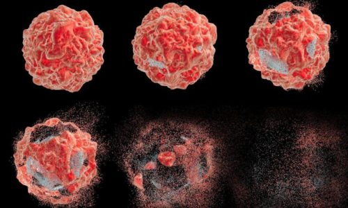 Ανακαλύφθηκε κύτταρο που ίσως θεραπεύει τον καρκίνο