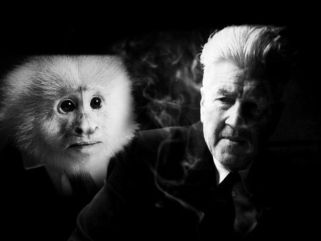 What Did David Lynch Do?: Ο «Μικρομηκάς» Ντέιβιντ Λιντς
