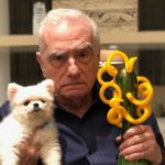 Βρείτε κάποιον να σας τρολάρει όπως ο Μάρτιν Σκορσέζε τα 0 Όσκαρ του Ιρλανδού