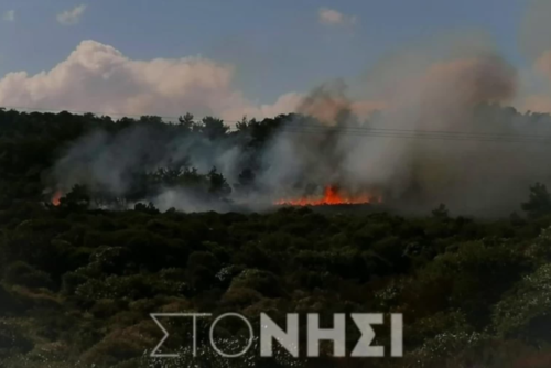 Φωτιά σε δάσος στη Λέσβο από χειροβομβίδες κρότου-λάμψης