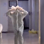 Νέος Κορονοϊός: Στο Ιράν γιατροί και νοσοκόμες «ξορκίζουν» τον ιό και την κούραση, με τσιφτετέλια [ΒΙΝΤΕΟ]