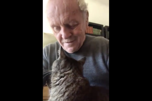 Κορονοϊός: Ο Άντονι Χόπκινς παίζει μουσική στη γάτα, που απαιτεί να την ψυχαγωγεί [ΒΙΝΤΕΟ]