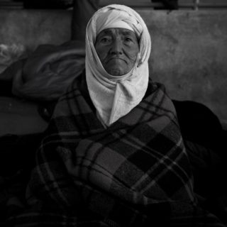 Γένους θηλυκού. Φωτογραφίες.