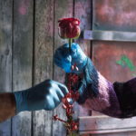 Καταλονία: Με λουλούδια, βιβλία και στολισμένα μπαλκόνια τίμησαν τον Σαντ Τζόρντι