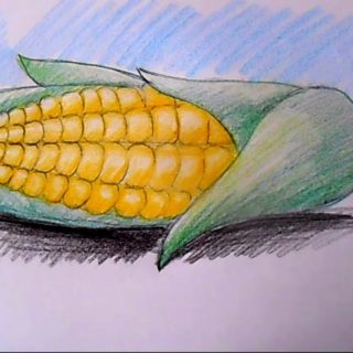 Σκόιλ Καλαμποκιού