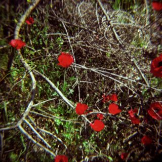 Μύρισε πρωτομαγιά