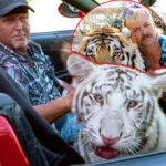 Κάθεστε; Έρχεται νέο επεισόδιο Tiger King!