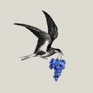 Σας έχουμε μια λίστα με κορυφαία Value for Money κρασιά που έρχονται στην πόρτα σας