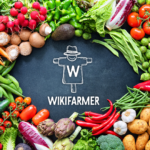 Wikifarmer: Ο «Έλληνας αγρότης» που κατακτά τον κόσμο φέρνει τα προϊόντα του στην πόρτα σου