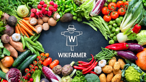Wikifarmer: Ο «Έλληνας αγρότης» που κατακτά τον κόσμο φέρνει τα προϊόντα του στην πόρτα σου