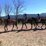 Ανησυχία στους ιδιοκτήτες αλόγων μετά και νέο περιστατικό δηλητηρίασης ζώου