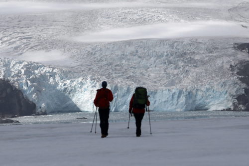 Η κλιματική αλλαγή πρασινίζει την Ανταρκτική