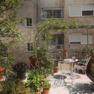 Tι έχουν πάθει όλοι με τα φυτά;