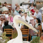 Στην έναρξη της τουριστικής σεζόν στην Ελλάδα επικεντρώνονται τα ξένα μέσα ενημέρωσης