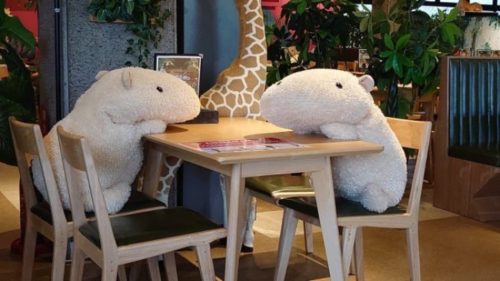 Λούτρινα ζωάκια εξασφαλίζουν την κοινωνική αποστασιοποίηση σε εστιατόριο ιαπωνικού ζωολογικού κήπου