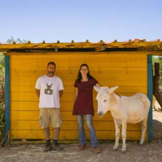 Εσείς το ξέρατε ότι κοντά στην Αθήνα, υπάρχουν χαρούμενα γαϊδουράκια που τρελαίνονται για χάδια και πειράγματα;