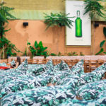 H μπίρα Fischer στηρίζει τον κινηματογράφο και δηλώνει παρούσα και φέτος στα θερινά σινεμά