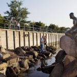 Δανία: «Ρατσιστικό ψάρι» η Μικρή Γοργόνα της Κοπεγχάγης!