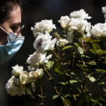 Η κρίση που προκάλεσε ο κορωνοϊός γονάτισε και τους ιταλούς ανθοπώλες