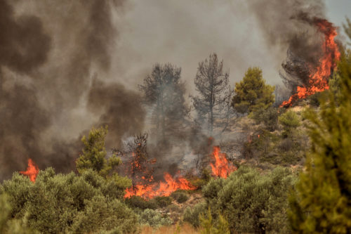 Ελλάδα: Πολύ υψηλός ο κίνδυνος πυρκαγιάς αύριο σε τέσσερις Περιφέρειες