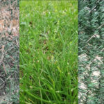 Δείτε το Enter των Madeline Best & Brian Rogers / The Chocolate Factory Theater: «Πώς είναι δυνατόν το τέλος του κόσμου να είναι τόσο βαρετό;»