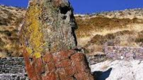 Γιγαντιαίος κορμός απολιθωμένου δένδρου βρέθηκε στο χωριό Βάρος της Λήμνου