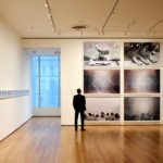 Ανοίγει ξανά το Μουσείο Μοντέρνας Τέχνης (ΜοΜΑ) μετά από πέντε μήνες