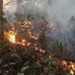 Βραζιλία: Φλέγεται και πάλι ο Αμαζόνιος