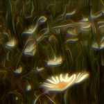 Η αφρόκρεμα της ελληνικής δημιουργίας και πάλι στο επίκεντρο του Animasyros