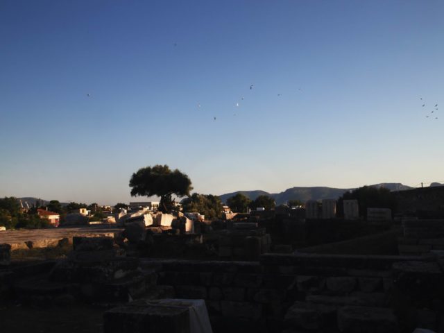 Απογευματινή βόλτα στα αρχαία ερείπια της Ελευσίνας