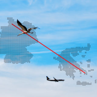 «Αναγκάστηκα να βγάλω την μαντήλα μου για να μπορέσω να φτάσω επιτέλους στην Γερμανία»