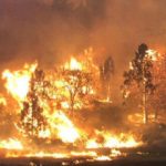 ΗΠΑ: Χιλιάδες άνθρωποι στο Όρεγκον αναζητούν καταφύγιο από τις πυρκαγιές