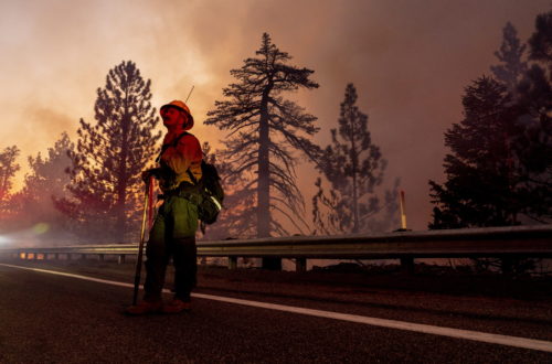 Πάνω από 16 εκατομμύρια στρέμματα εκτάσεων έκαψαν φέτος οι πυρκαγιές στην Καλιφόρνια