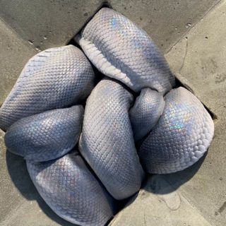 Τέχνη στο Λονδίνο σήμερα: Covid Εdition