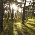 WWF: Πρόταση για ένα πράσινο πακέτο ανάκαμψης που θα ανοίξει 125.000 νέες θέσεις εργασίας