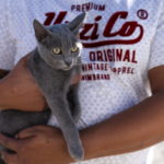 Κορωνοϊός: Εκτρεφόμενα και κατοικίδια ζώα δεν μπορούν να μολυνθούν μεταξύ τους, ούτε να μολύνουν τον άνθρωπο