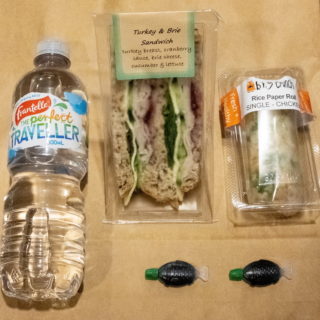 Πανδημία και η καραντίνα του ταξιδιώτη