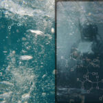 Creatures in a Series of Tubes: Υπάρχει ο ψηφιακός κόσμος έξω και πέρα από εμάς;