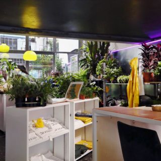 άι ντου: Ο νέος προορισμός για φυτά άνοιξε μέσα σε ένα μπαρ-στέκι του Κουκακίου