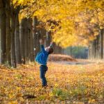 Γιατί πέφτουν τα φύλλα από τα δέντρα πιο νωρίς το φθινόπωρο;