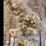 Ισπανία: Ρεκόρ χαμηλών θερμοκρασιών μετά τη χιονοθύελλα [ΒΙΝΤΕΟ]