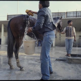 Ιππόδρομος, Φάληρο, 1991