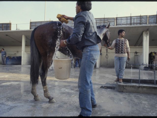 Ιππόδρομος, Φάληρο, 1991