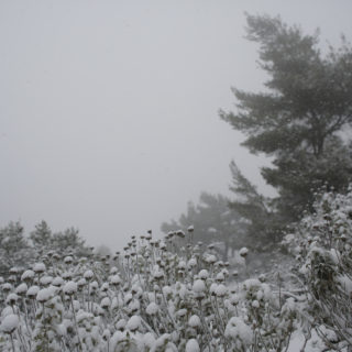 Πολίτες της Λέσβου ζητούν να τους επιτραπεί η φιλοξενία προσφύγων στα σπίτια τους λόγω κακοκαιρίας
