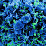 Ο κορονοϊός όλου του κόσμου θα χωρούσε μέσα σε ένα τενεκεδάκι αναψυκτικού