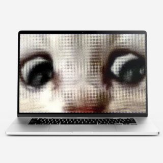 Ο δεκάλογος του καλού Zoomer