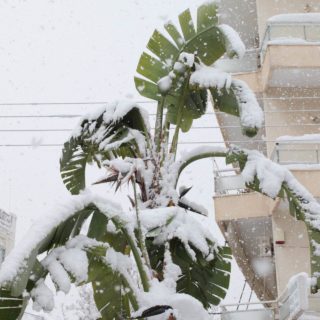 Λίγο Ακόμα Χιόνι