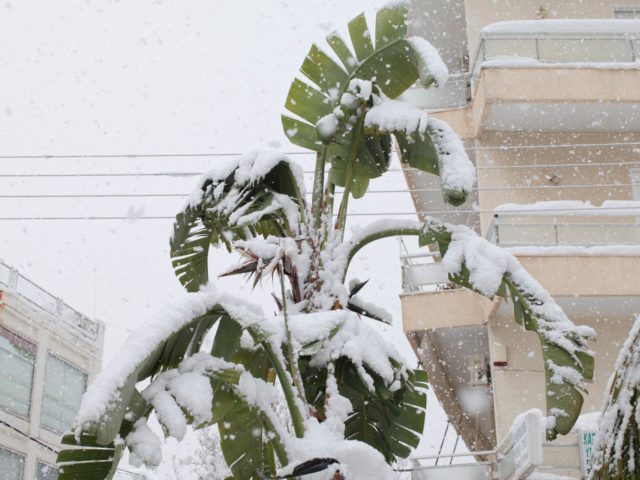 Λίγο Ακόμα Χιόνι